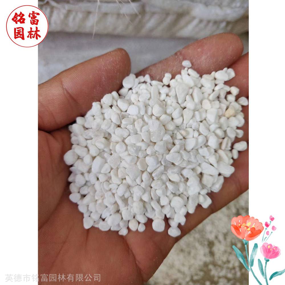 花园路径铺路石-白色鹅卵石-茂名鹅卵石厂家(图7)